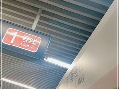 -大望路(地铁站)