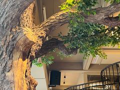 -迪欧咖啡·中西餐融合菜(平江万达旗舰店)
