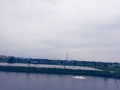 -海鸥岛