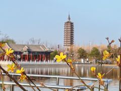 -西海子公园