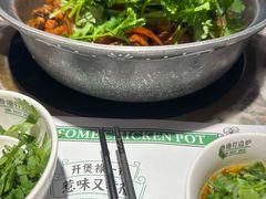 -禄婶鸡煲·打边炉