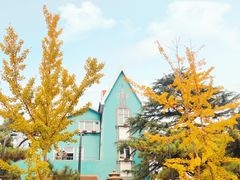 -八大关景区