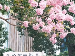 -万科前海企业公馆