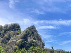 -王顺山国家森林公园