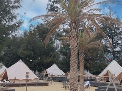 -西涌国际滨海旅游区