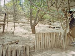 -青藏高原野生动物园