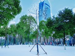 -西北湖绿化广场