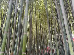 -泰山风景名胜区-普照寺