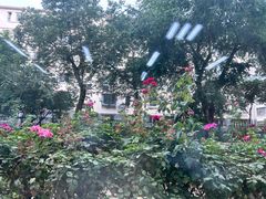 -石景山区图书馆(八角南路)