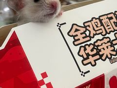 -西安创业咖啡街区