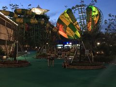 -苏州乐园森林水世界