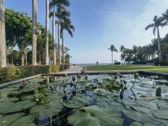 -三亚海棠湾万丽度假酒店