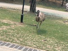 -常州淹城野生动物世界