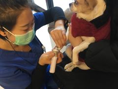 -宠福鑫动物医院·动物疾病诊疗中心(天通苑店)