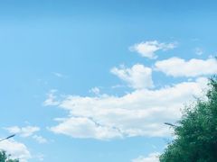 -永定河休闲森林公园