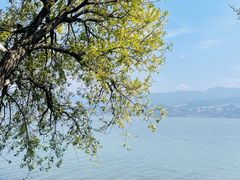 -西昌邛海湿地