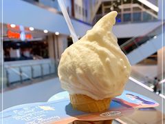 -野人先生现做冰淇淋(西安赛格店)