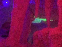 -水晶之星洗浴温泉汗蒸