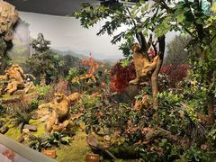 -陕西自然博物馆