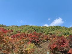 -龙道沟景区