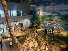 -自贡恐龙博物馆
