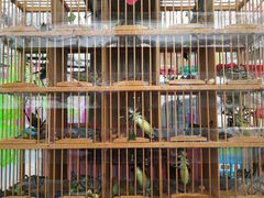 -兴芮温泉度假区