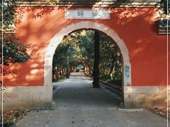 -灵谷景区