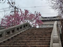 -练塘古镇