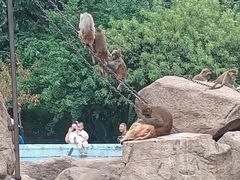 -西安秦岭野生动物园