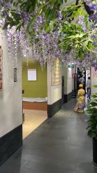 -盘子女人坊生日照·摄影馆(华强店)