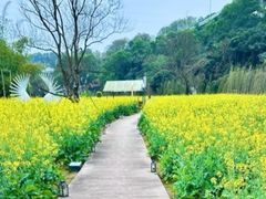 -光明小镇欢乐田园