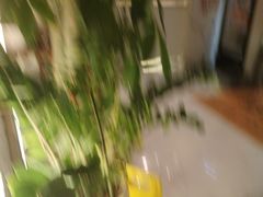 -有鱼吃·纸包烤鱼(曲江创意谷店)