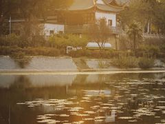 -月湖风景区