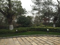 iphone_upload_pic-天目湖涵田半山温泉水乐园