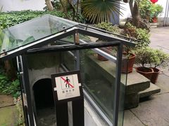 -奉化点心(呼童街店)