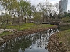 -群力丁香公园