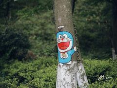 -老山国家森林公园