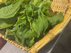 -生活如沸·顺德水牛奶火锅(大学路店)