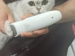 -宠福鑫康馨动物医院·骨科·眼科