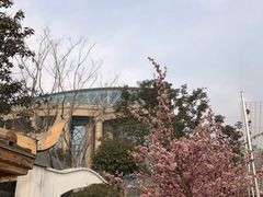 -郑州银基黄帝宫御温泉