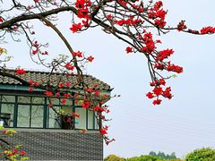 -王借岗森林公园