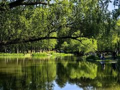 -上海共青森林公园