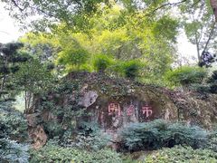 -南山植物园