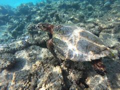 -奥特瑞格科诺塔马尔代夫度假酒店