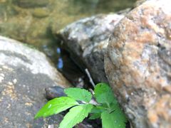 -碓臼峪自然风景区