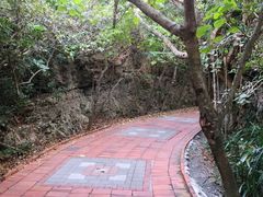 -龙坑生态保护区