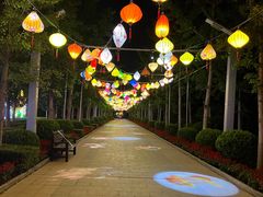 -南宫五洲植物乐园