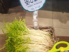 -阳坊涮肉(西直门凯德mall店)