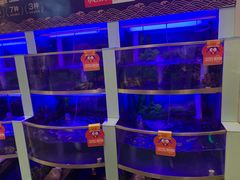 水产区-七欣天(浦东羽山乐坊店)