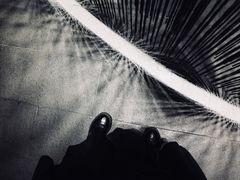 -张之洞与武汉博物馆
